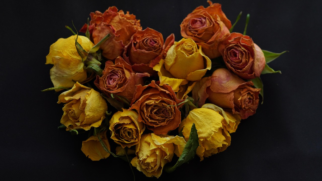 heart 8247284 1280, Sacred Bloom