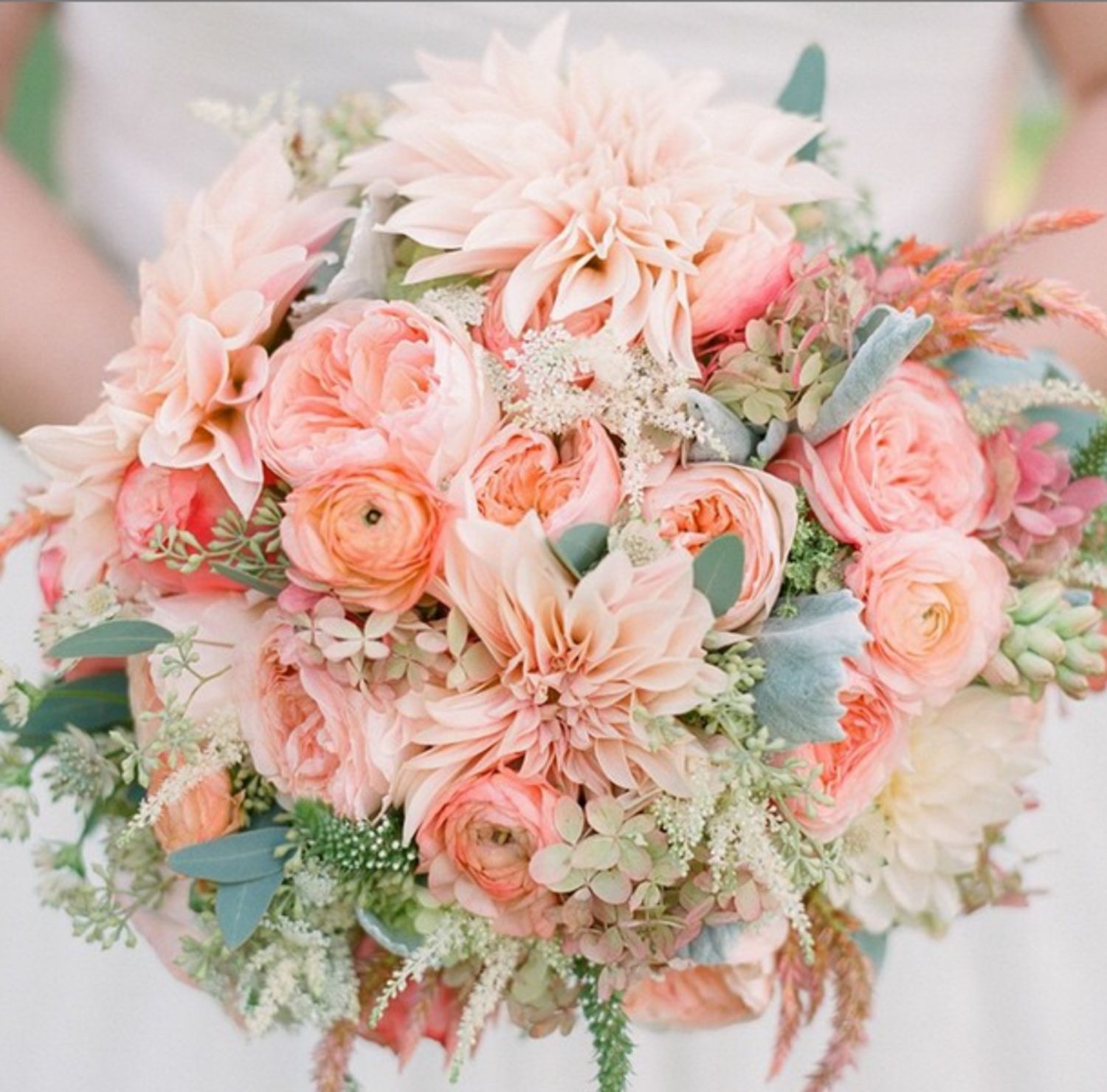 weddin round1, Sacred Bloom